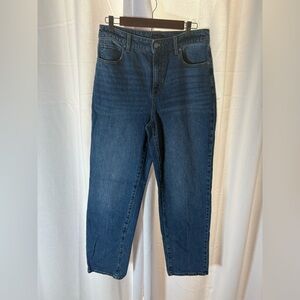 Talbots High Waisted‎ Relaxed Straight Leg Jean Size 10 EUC 489